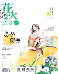 花火B2017年9期