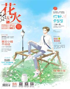 花火A2016年4期