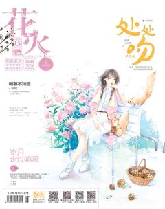 花火B2017年10期