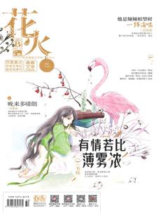 花火B2017年11期