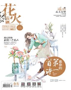 花火B2017年12期