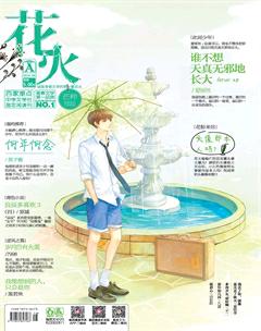 花火A2016年6期