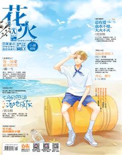 花火A2016年7期