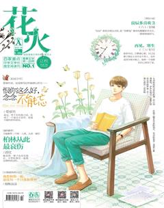 花火A2016年8期