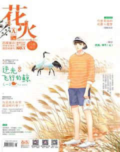 花火A2016年9期