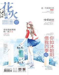 花火B2018年5期