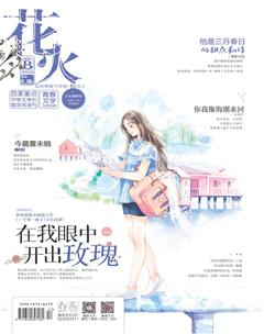 花火B2018年6期