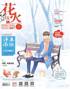 花火A2016年12期