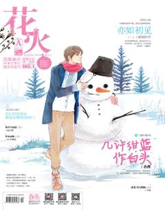 花火A2017年2期