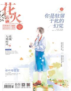 花火B2018年11期