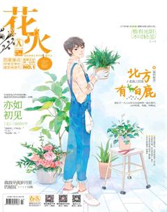 花火A2017年3期