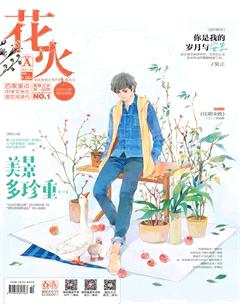 花火A2017年4期