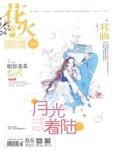 花火B2019年1期