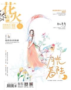 花火B2019年5期
