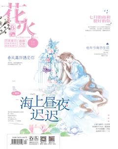 花火B2019年6期