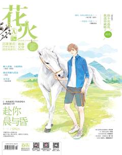 花火A2017年9期