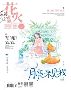 花火B2019年8期