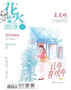 花火B2019年11期