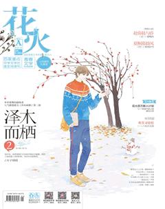 花火A2018年1期