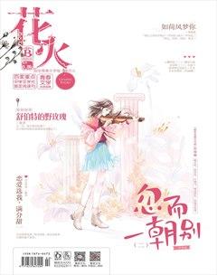 花火B2020年1期