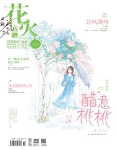 花火B2020年4期