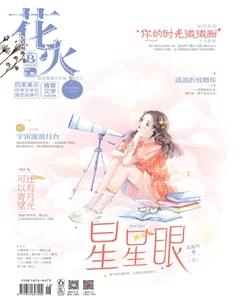 花火B2020年5期