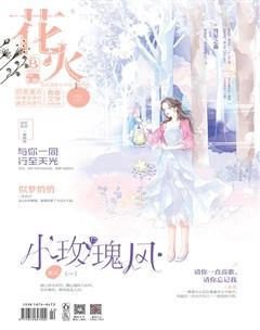花火B2020年6期