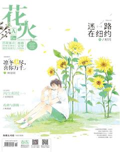 花火A2018年7期