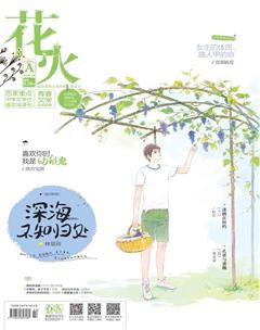 花火A2018年8期