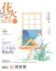 花火A2018年12期