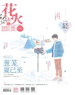 花火A2019年1期