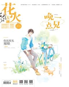 花火A2019年4期