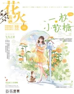 花火B2021年8期
