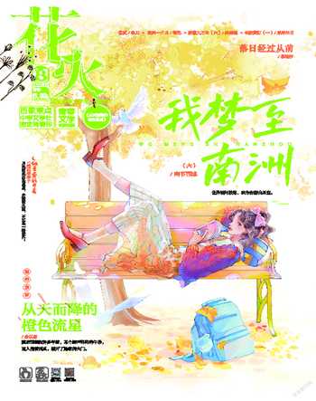 花火B2021年11期