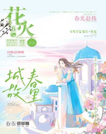 花火B2022年1期
