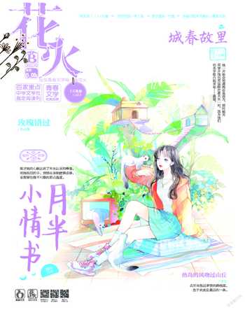 花火B2022年2期