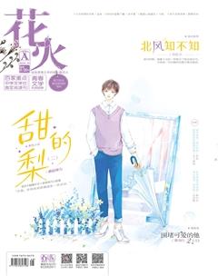 花火A2019年10期