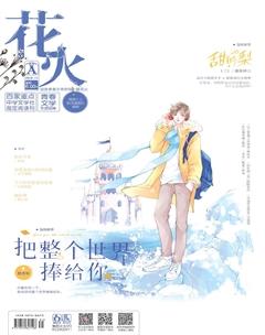 花火A2019年11期