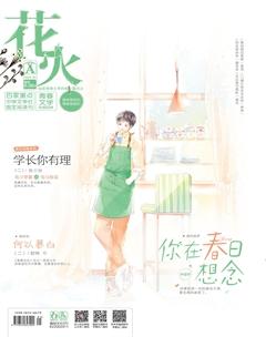 花火A2020年1期