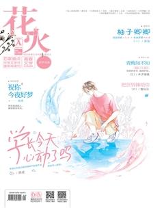 花火A2020年8期