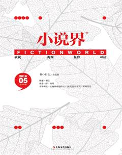 小说界2016年5期