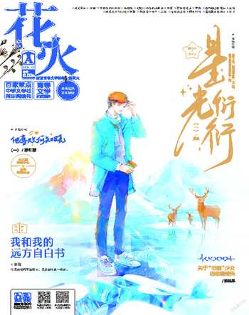 花火A2021年12期