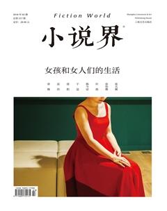 小说界2018年2期
