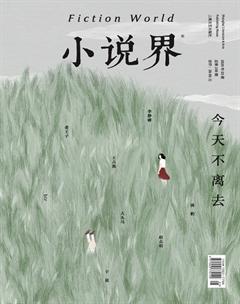 小说界2020年3期