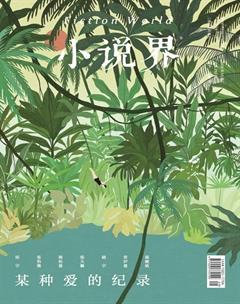 小说界2020年5期