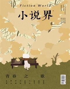 小说界2020年6期