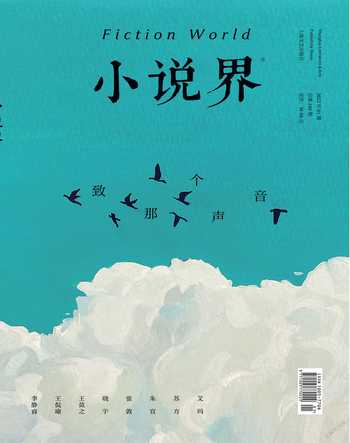 小说界2022年1期