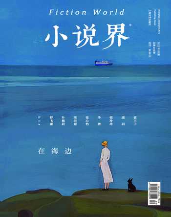 小说界2022年5期