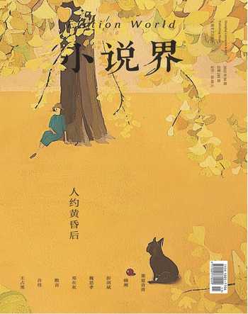 小说界2022年6期