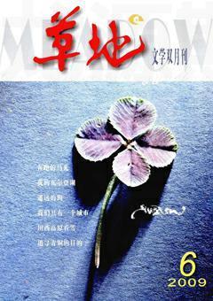 草地2009年6期